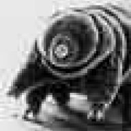 Tardigrade