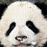 PiraatPanda