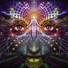 lysergic bink