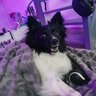Drugslife00