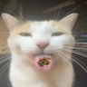 TheSadCat