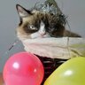 Floeffie