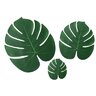Monstera123