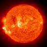 Haplo