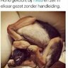 Knulletje