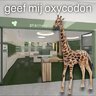 Combinatorjr