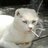 Peppie0546