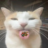 TheSadCat