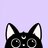 The Curious Cat