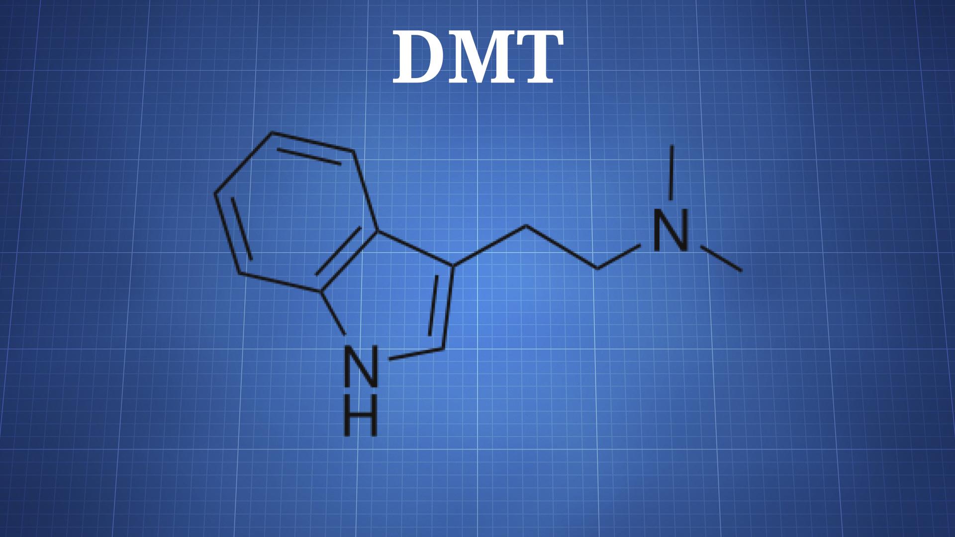 thedrugclassroom.com